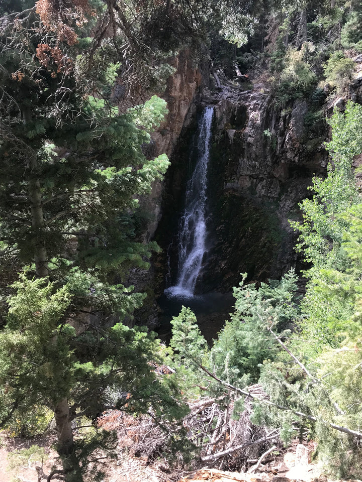 Bullion Canyon Trail - Deranged Ride Score